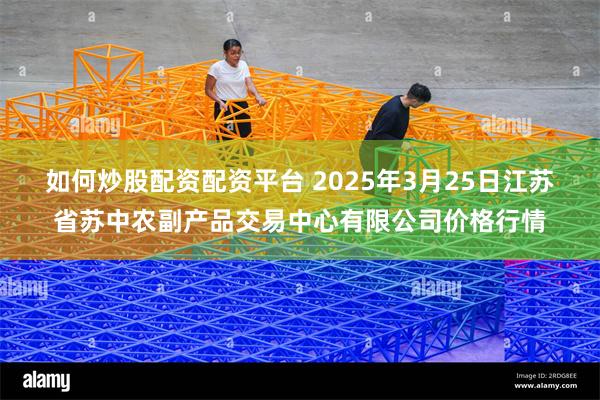 如何炒股配资配资平台 2025年3月25日江苏省苏中农副产品交易中心有限公司价格行情