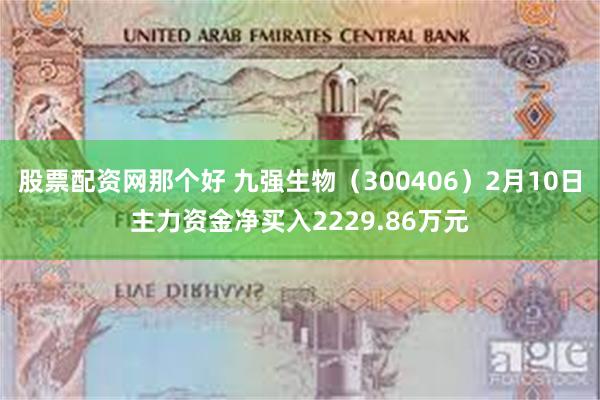 股票配资网那个好 九强生物（300406）2月10日主力资金净买入2229.86万元