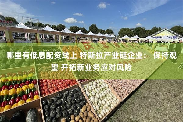 哪里有低息配资线上 特斯拉产业链企业： 保持观望 开拓新业务应对风险