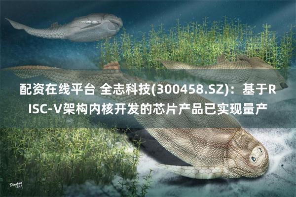 配资在线平台 全志科技(300458.SZ)：基于RISC-V架构内核开发的芯片产品已实现量产
