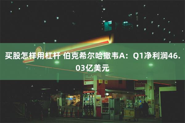 买股怎样用杠杆 伯克希尔哈撒韦A：Q1净利润46.03亿美元