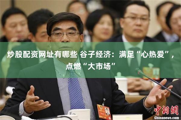 炒股配资网址有哪些 谷子经济：满足“心热爱”，点燃“大市场”
