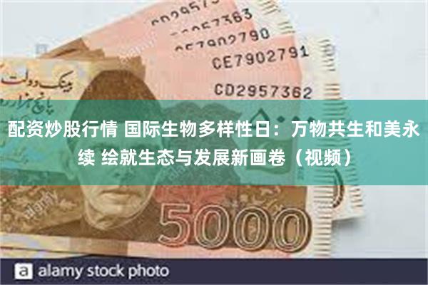 配资炒股行情 国际生物多样性日：万物共生和美永续 绘就生态与发展新画卷（视频）