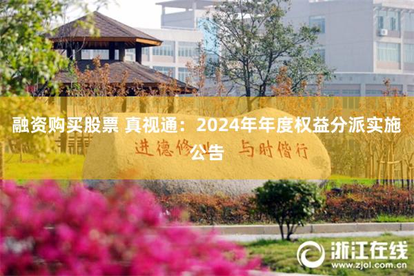融资购买股票 真视通：2024年年度权益分派实施公告