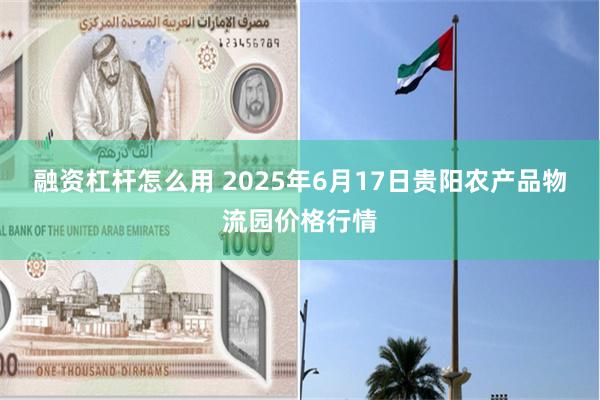 融资杠杆怎么用 2025年6月17日贵阳农产品物流园价格行情