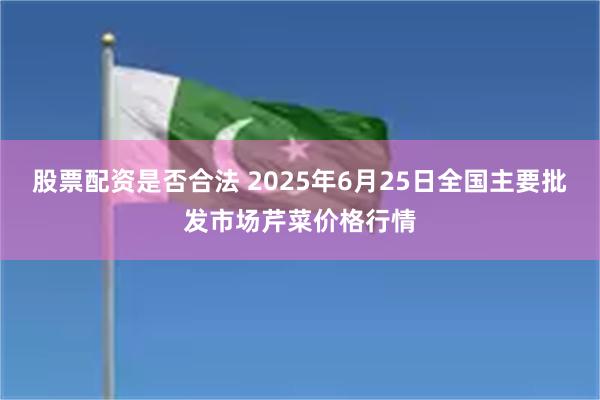 股票配资是否合法 2025年6月25日全国主要批发市场芹菜价格行情