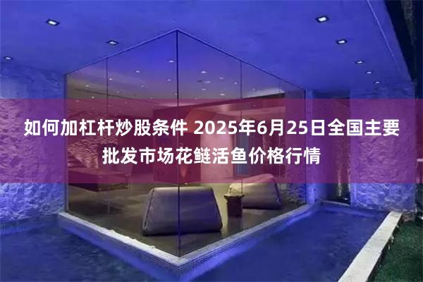 如何加杠杆炒股条件 2025年6月25日全国主要批发市场花鲢活鱼价格行情